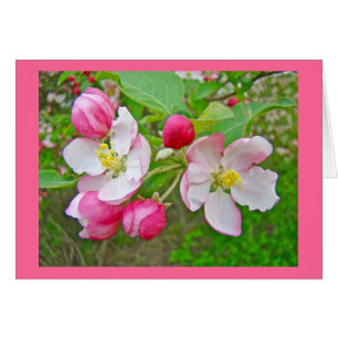 Apple-Blommar Hälsningskort
