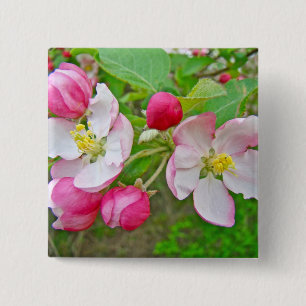 Apple-Blommar Knapp