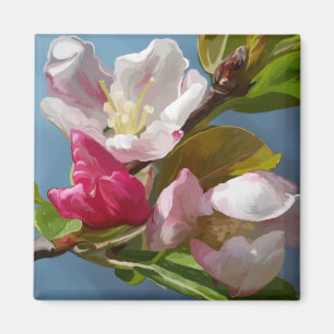 Apple Blommar Magnet