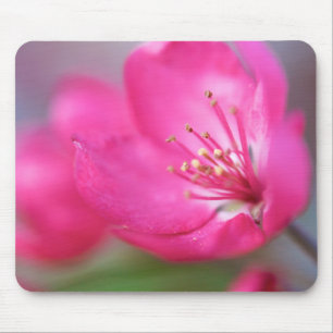Apple blommar Mousepad Musmatta