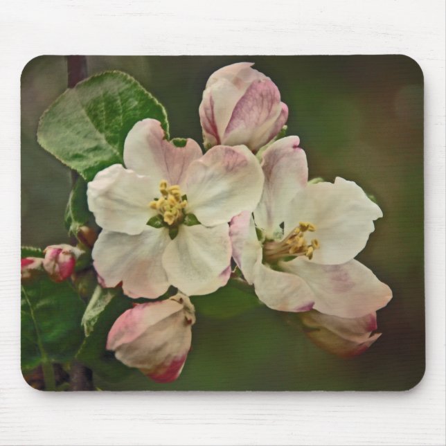 Apple-Blommar Musmatta (Framsidan)