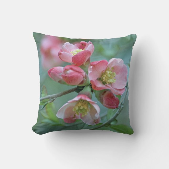 Apple-Blommar #P0356 Kudde (Framsida)