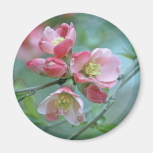 Apple-Blommar #P0356 Magnet