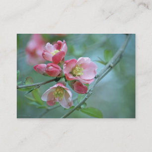 Apple-Blommar #P0356 Mini Print Visitkort