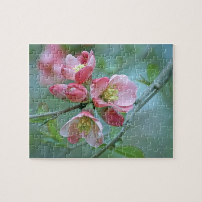 Apple-Blommar #P0356 Pussel (Horisontell)