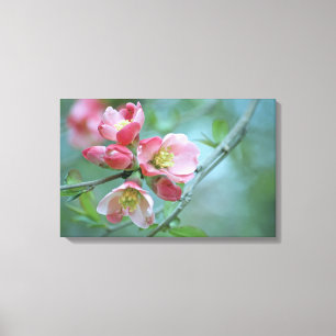 Apple-Blommar #P0356 Wrapped Canvas