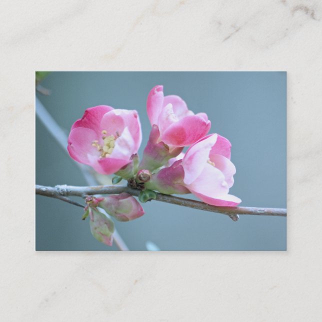 Apple-Blommar #P0358 Mini Print Visitkort (Framsida)