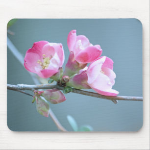 Apple-Blommar #P0358 Mousepad Musmatta
