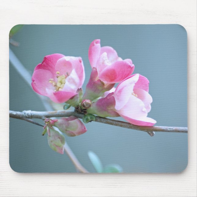 Apple-Blommar #P0358 Mousepad Musmatta (Framsidan)