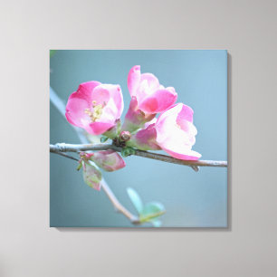 Apple-Blommar #P0358 Wrapped Canvas