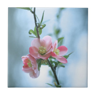 Apple-Blommar #P0365 Tile Kakelplatta
