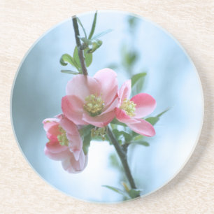 Apple-Blommar #P0365 Underlägg Sandsten