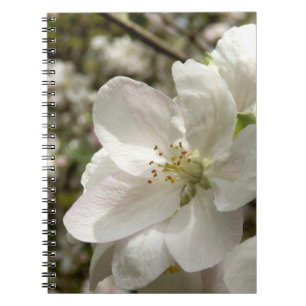 Apple Blommar Photo Notebook Anteckningsbok Med Spiral