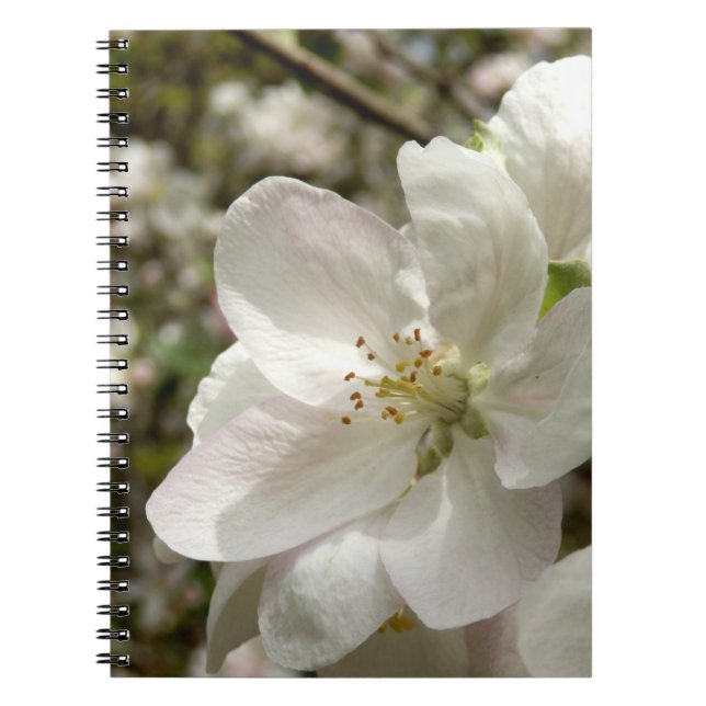 Apple Blommar Photo Notebook Anteckningsbok Med Spiral (Framsidan)