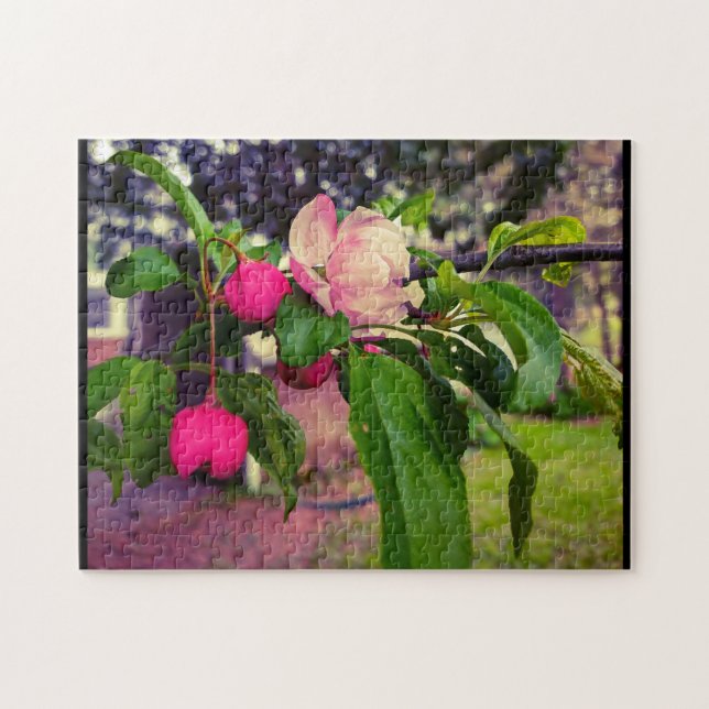 APPLE-BLOMMAR PUSSEL (Horisontell)