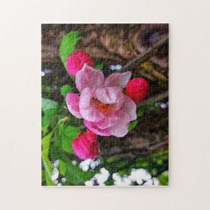 APPLE-BLOMMAR PUSSEL
