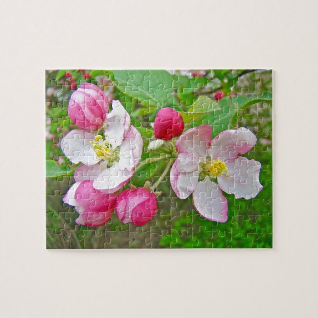 Apple-Blommar Pussel (Horisontell)