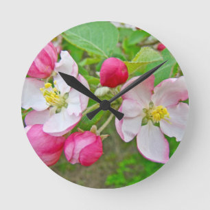 Apple-Blommar Rund Klocka