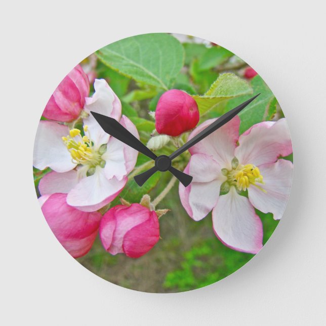 Apple-Blommar Rund Klocka (Framsida)