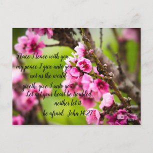 Apple Blommar-vykort Vykort