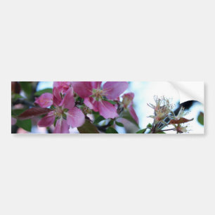 Apple blommarbildekal bildekal