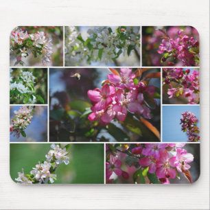 Apple blommarCollage Mousepad Musmatta