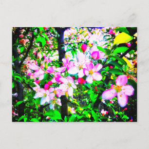 APPLE BLOMMARS BRIGHT POSTCARD VYKORT