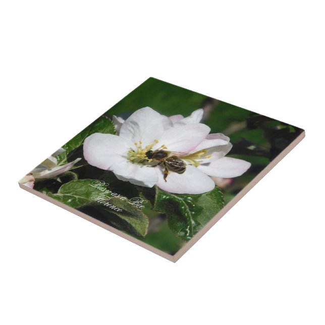 Apple Blossom & Bee Macro Photo | Ceramic Tile Kakelplatta (Sidan)