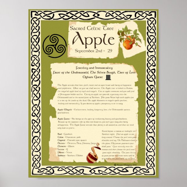 APPLE CELTIC HELIG TRÄD POSTER (Framsidan)