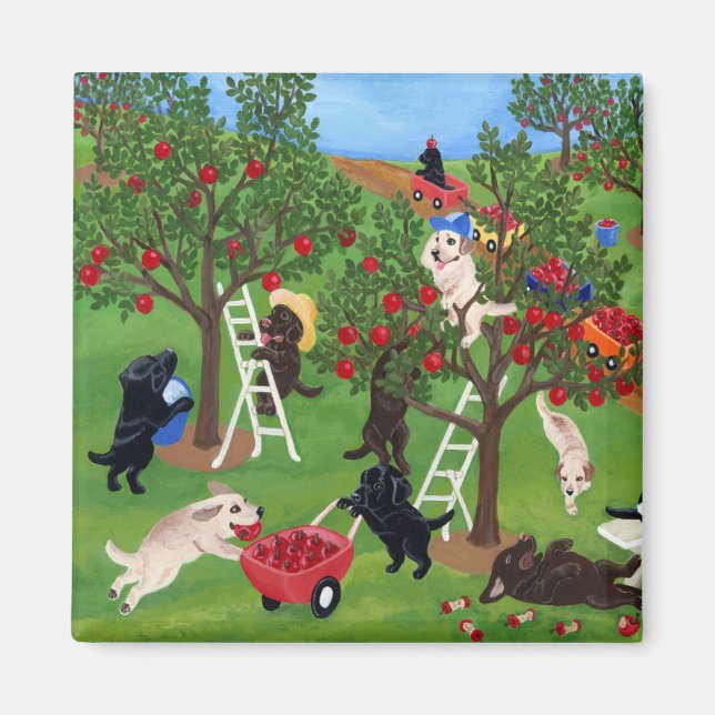 Apple Farm Labradors Magnet (Framsidan)
