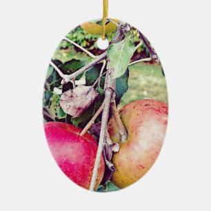 Apple fruktträdgård julgransprydnad keramik