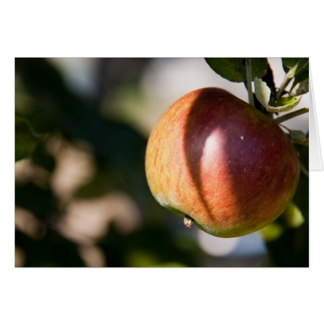 Äpple Hälsningskort (Framsidan Horizontal)