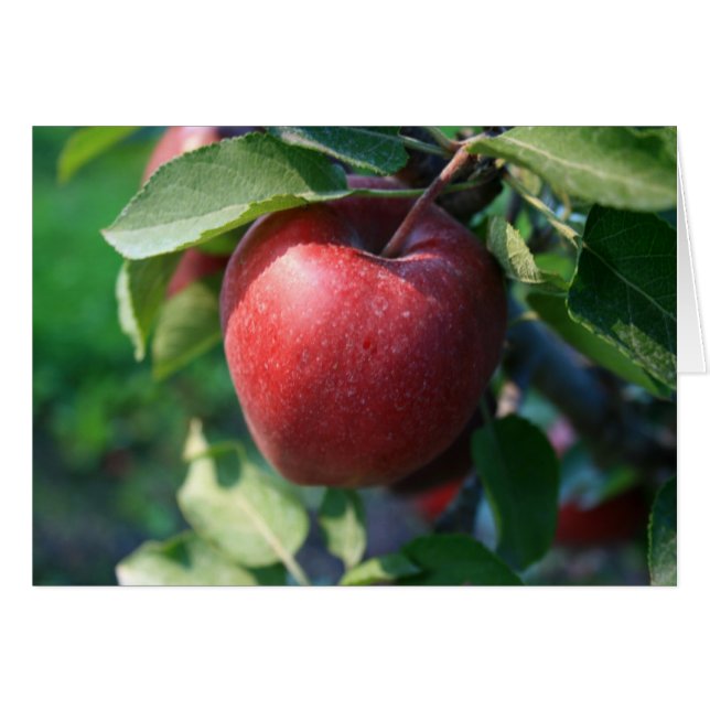 Apple Hälsningskort (Framsidan Horizontal)