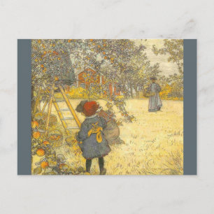 Apple Harvest av Carl Larsson Vykort
