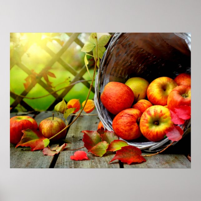 Apple Harvest Poster (Framsidan)