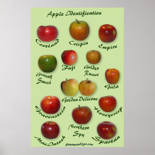 Apple ID Poster