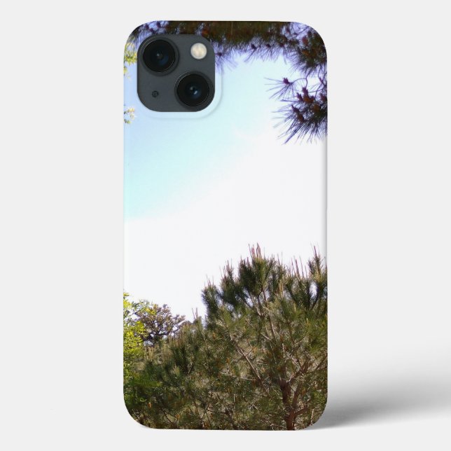 apple iphone 13 case  (Baksida)