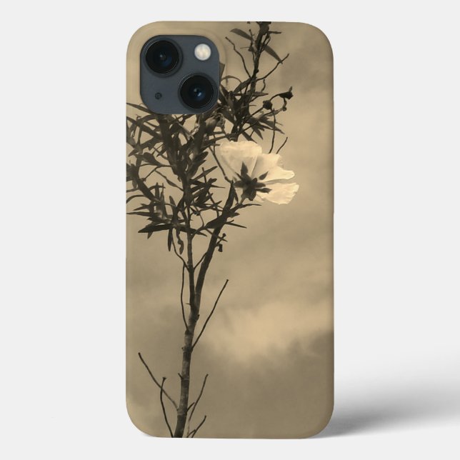 apple iphone 13 fodral  (Baksida)