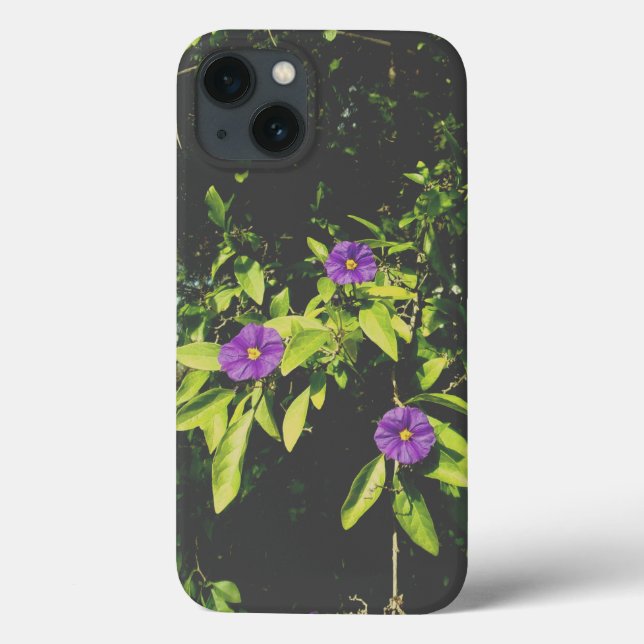 äpple iphone 13 fodral  (Baksida)