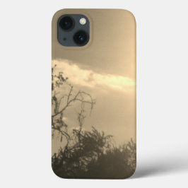 äpple iphone 13 fodral