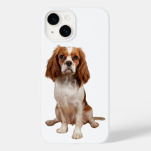 Apple iPhone 14 fodral med Kung Charles Cavalier