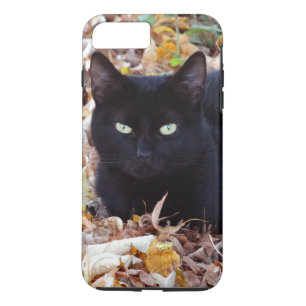 Apple iPhone 8 Plus/7 Plus, Tuff Black Cat Photo