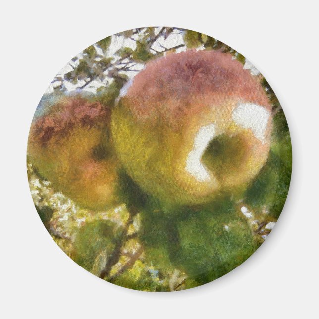 Äpple Magnet (Framsidan)