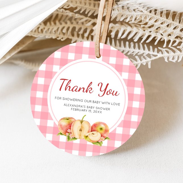 Apple of Our Eye Gingham Baby Shower Gåvor Etiketter (Apple Baby Shower Favor Tags)