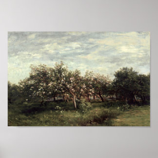 Apple Orchard Ligcape Art Print Vintage Land Poster