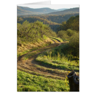 Apple Orchard, North Carolina Hälsningskort