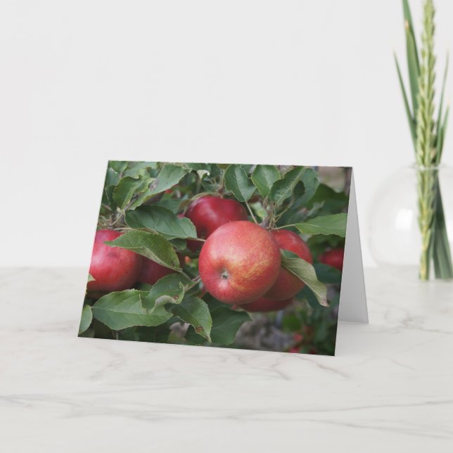 Äpple på hälsningskortet Träd Helgkort (Framsida)