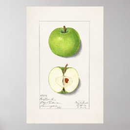 Äpple Poster