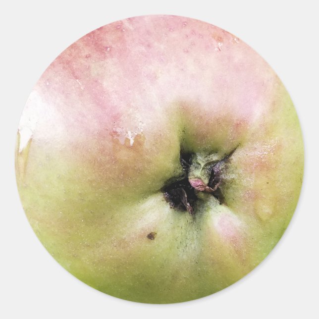 ÄPPLE RUNT KLISTERMÄRKE (Framsida)
