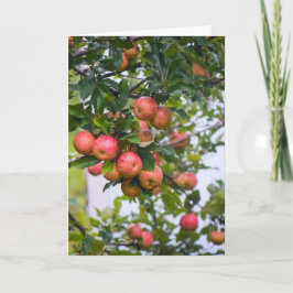 Apple Sauce Recipe Helgkort